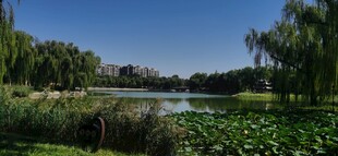 公园风景  