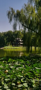 公园风景 