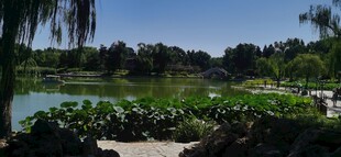 公园风景  
