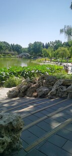 公园风景 