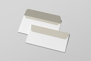 信封样机