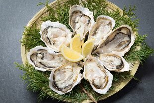 生蚝