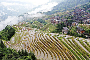 龙脊梯田