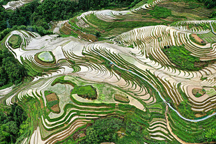 龙脊梯田