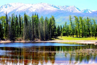  阿尔泰山喀纳斯