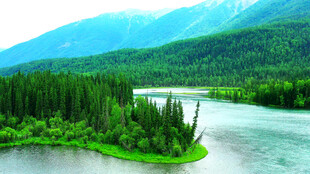 阿尔泰山喀纳斯