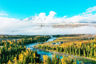 阿尔泰山喀纳斯