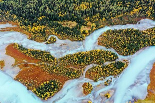 阿尔泰山喀纳斯