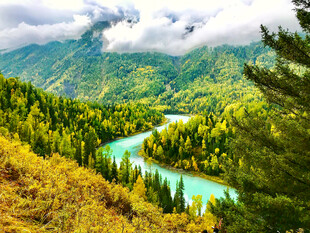 阿尔泰山喀纳斯