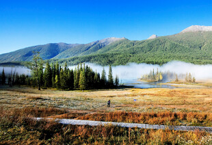 阿尔泰山喀纳斯