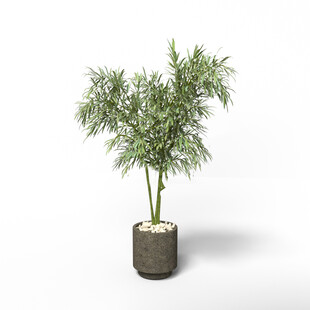 C4D模型 绿色植物