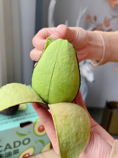 牛油果