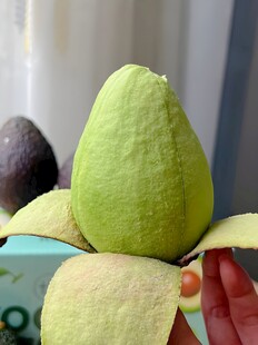 牛油果