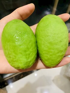 牛油果