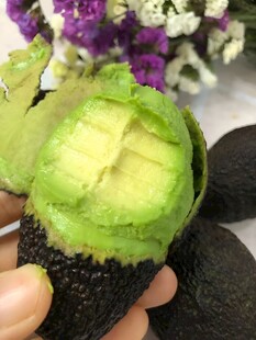 牛油果