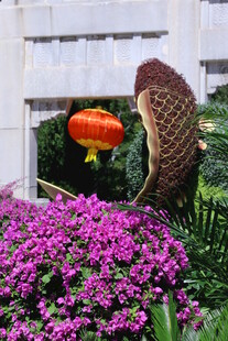 公园风景 