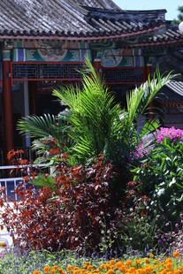 公园风景  