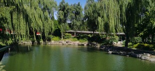 公园风景  