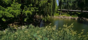 公园风景 