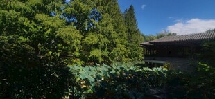 公园风景 