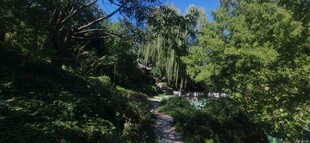 公园风景 