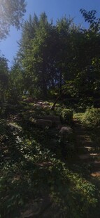 公园风景 