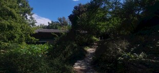 公园风景  