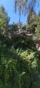 公园风景 