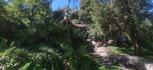 公园风景  