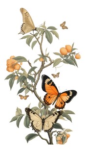 花卉