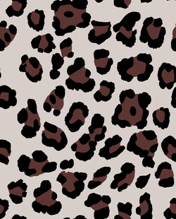 普遍不普通的豹纹