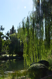 公园风景 