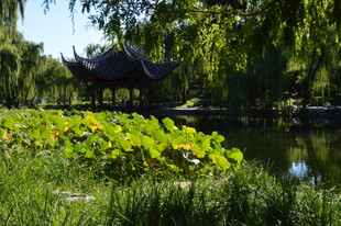 公园风景 