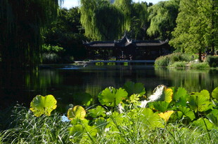 公园风景  