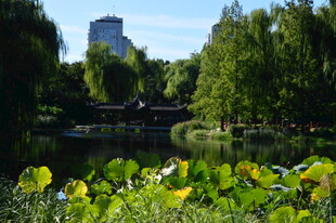 公园风景 
