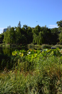公园风景 