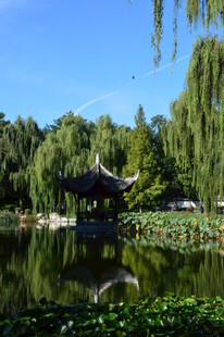 公园风景 