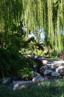 公园风景 