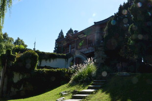 公园风景 