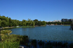 公园风景  