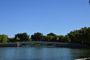 公园风景  