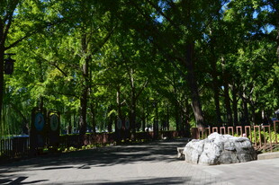 公园风景  