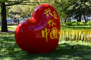 公园风景 