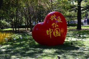 公园风景  