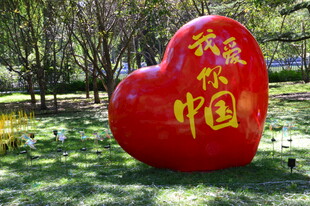公园风景 