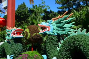 公园风景 