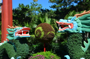 公园风景 