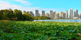 长沙城市公园美景