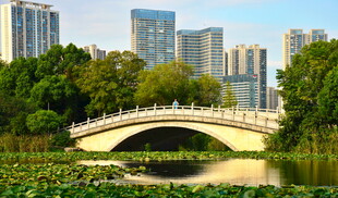 长沙城市公园一景