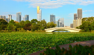 长沙城市公园美景